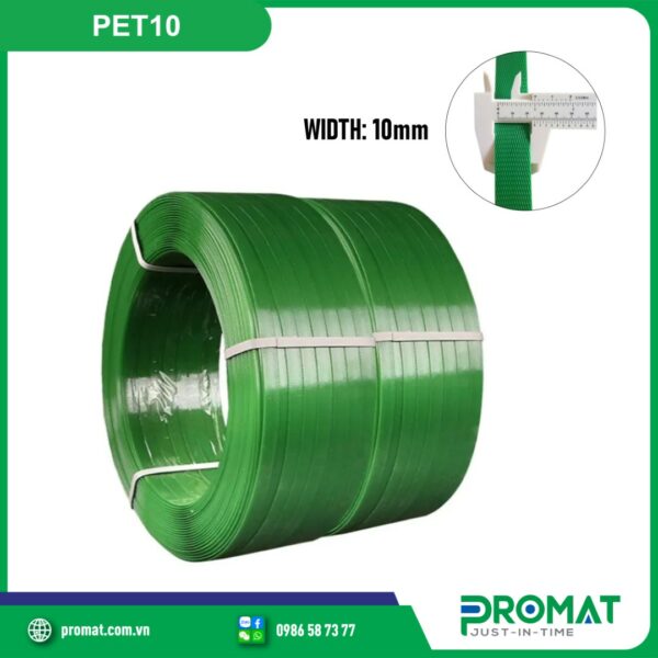 day-dai-nhua-pet-10mm-PET10