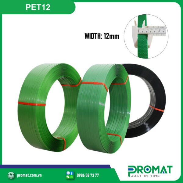 day-dai-nhua-pet-12mm-PET12