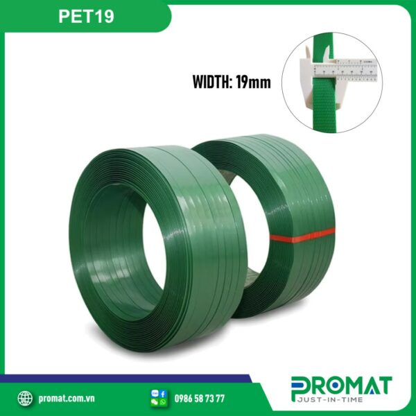 day-dai-nhua-pet-19mm-PET19