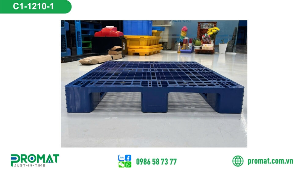 WEB 6 2