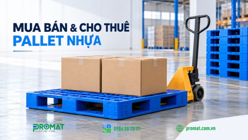 Dịch vụ Pallet nhựa có nhiều trên thị trường